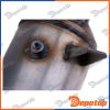 Filtres à Particules Diesel EURO5/6 pour BMW | DPF-BM-015, 6117023P
